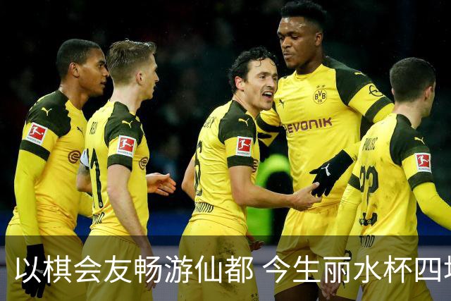 以棋会友畅游仙都 今生丽水杯四地围棋交流活动圆满落幕